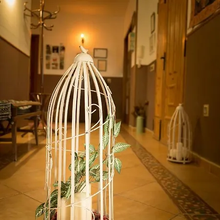 Casa Rural Las Eras En Monfraguee Malpartida De Plasencia