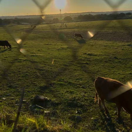Casa Rural Las Eras En Monfraguee
